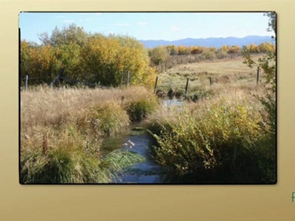 Elliott Creek Ranch