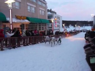 reindeer race, Rovaniemi city center
