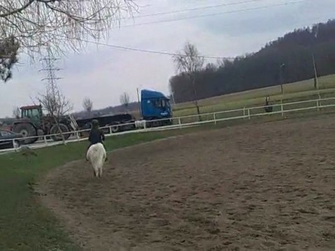 Galop dehors avec ma jument.