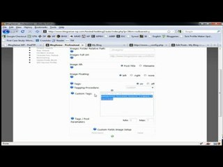 Autoblogging Tutorial - BlogSense - Tagging
