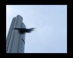 after effects ucmak flying