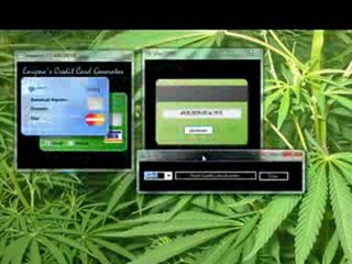 Enigma's Credit Card Generator with Cvv2 2010