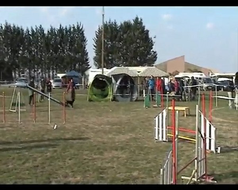 SAINTES AGILITY - 3EME DEGRE - VODKA - 07 03 10