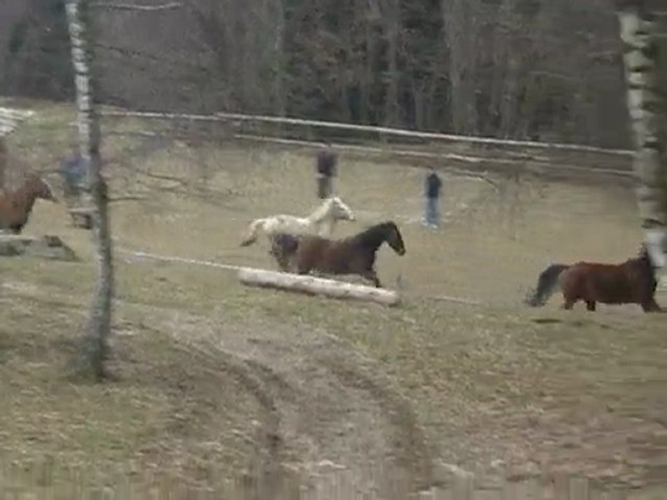 Au galop !