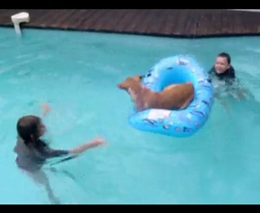 billy piscine