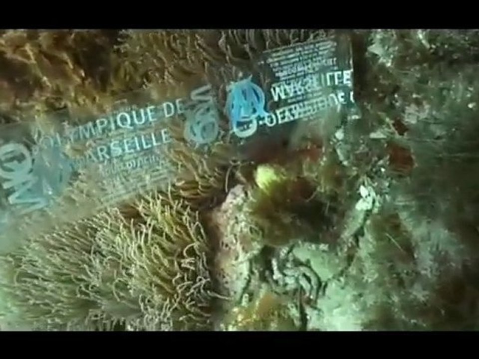 Océans de plastique