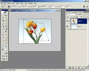 ders 3 seçimlerin biçimini değiştirmek