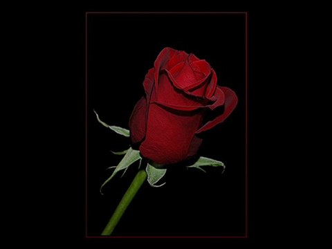 HASAN DURSUN BERATA GELDİM.