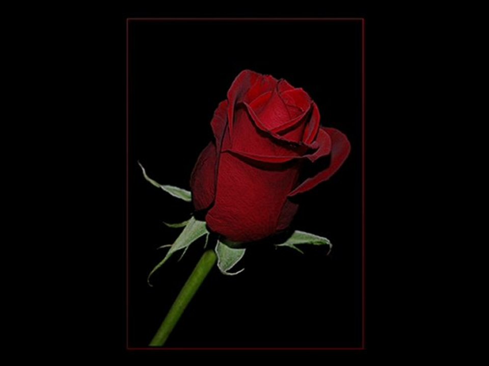 HASAN DURSUN BERATA GELDİM.