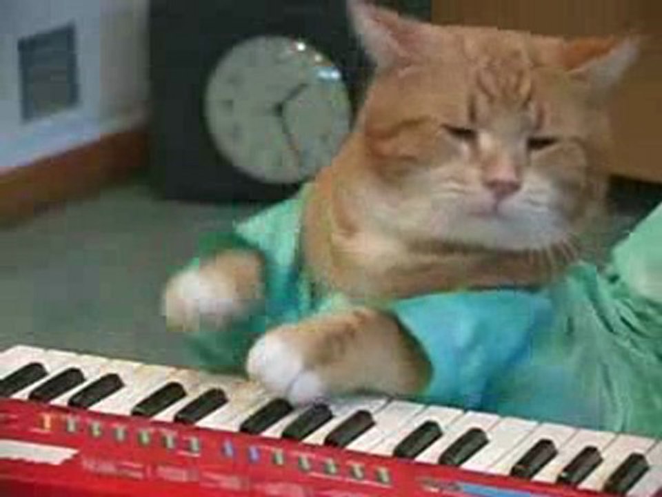 Charlie Schmidt's Keyboard Cat REINCARNATED!