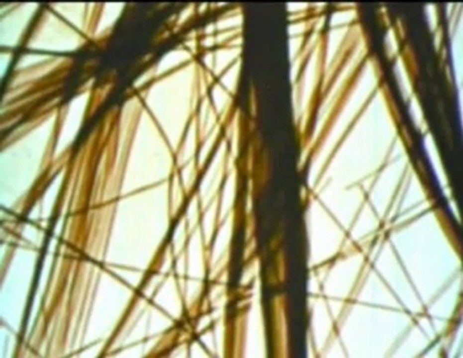 Mesothelioma treatment Facts About Asbestos Lung Mesotheliom