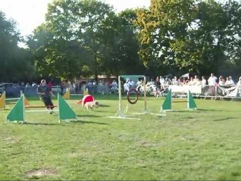 Concours Agility Angélique&Vani Koro à St Nazaire