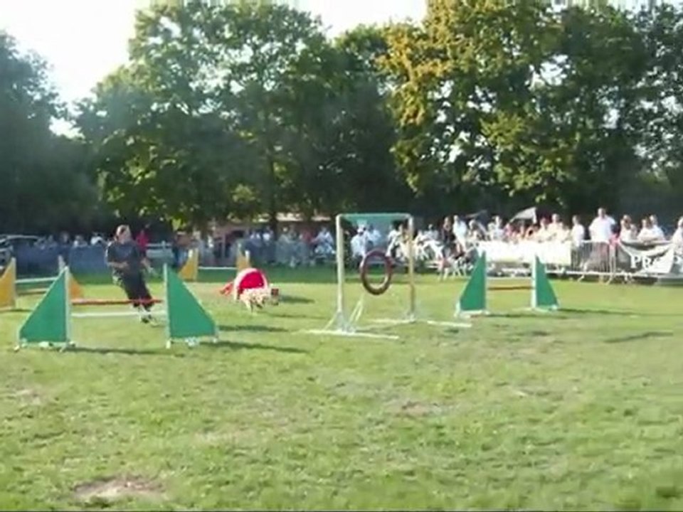 Concours Agility Angélique&Vani Koro à St Nazaire