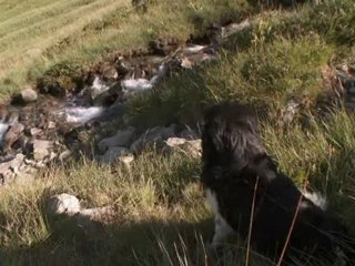 Les Gardiens de nos troupeaux