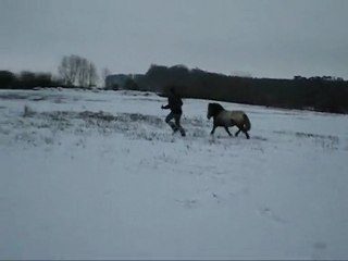 Janvier 2010 - Orus.