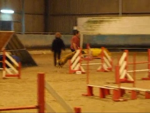Concours Agility Angélique&Vani Koro 8 Novembre 2009 à Niort