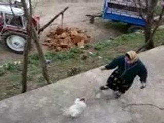 gocasar kılıç kalkan oyunu