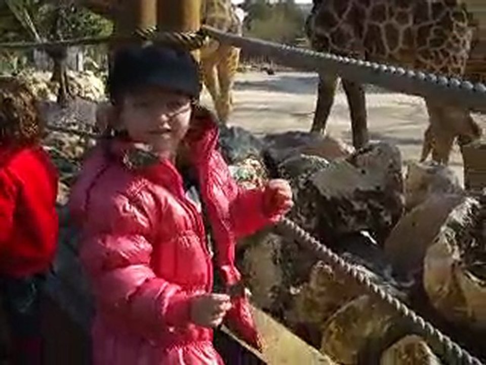 Jardim zoologico - Lisboa