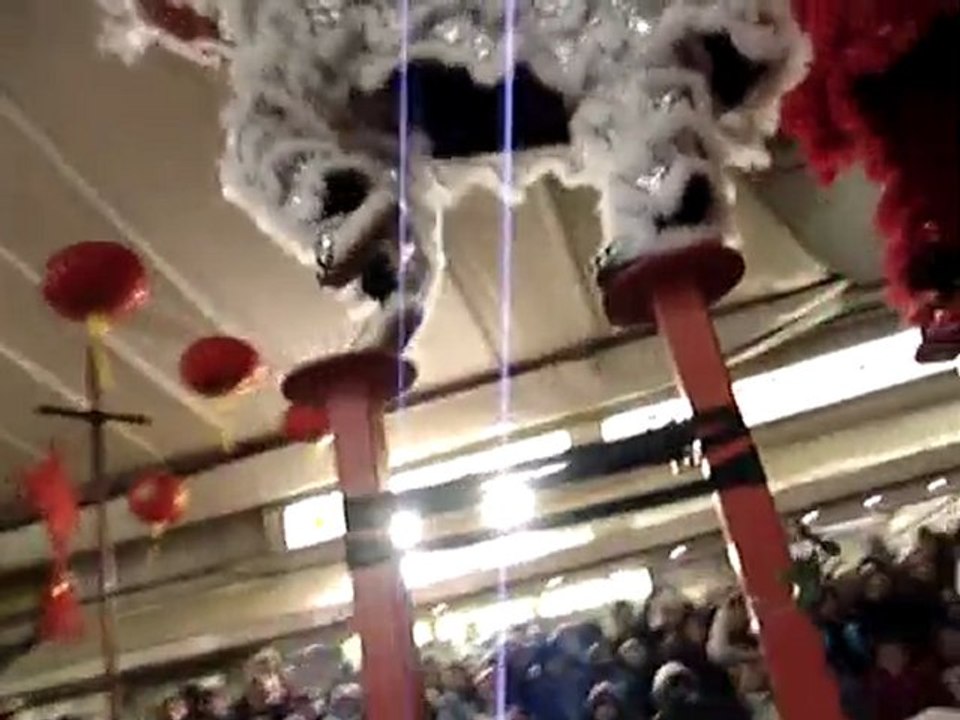 LION DANCE RCFA 2010 TANG FRERES