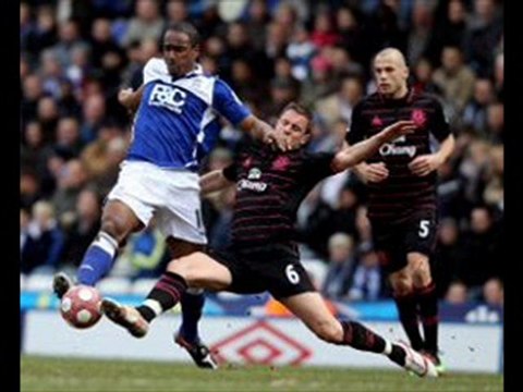 Birmingham 2-2 Everton Gardner great-strike