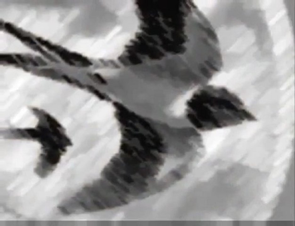 Kırlangıcın Öyküsü CAn Dündar