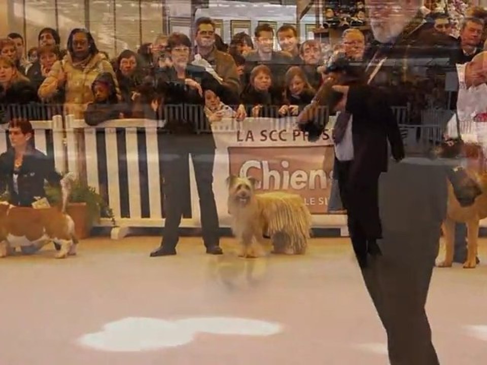 CGA Finale CACS Mâles