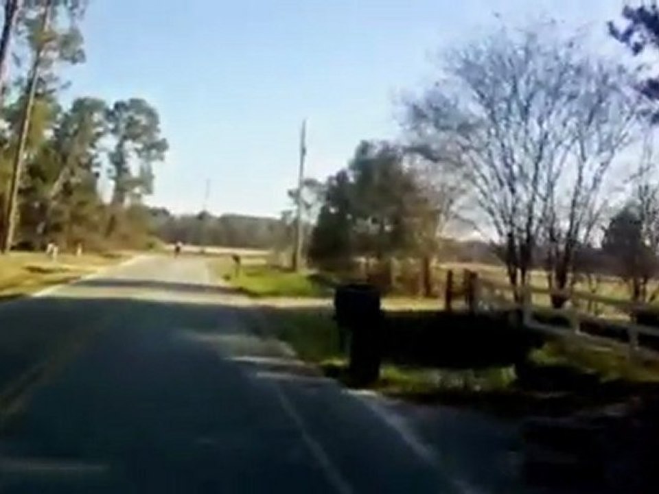 2010 Azalea Cycling Festival