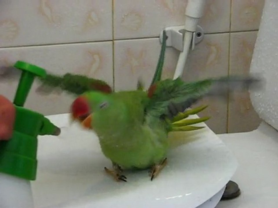 Cesar à la douche!!
