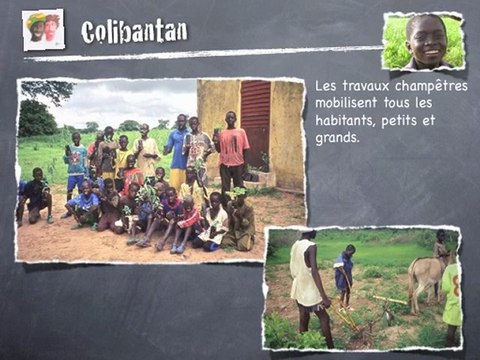 Colibantan : des différences aux ressemblances