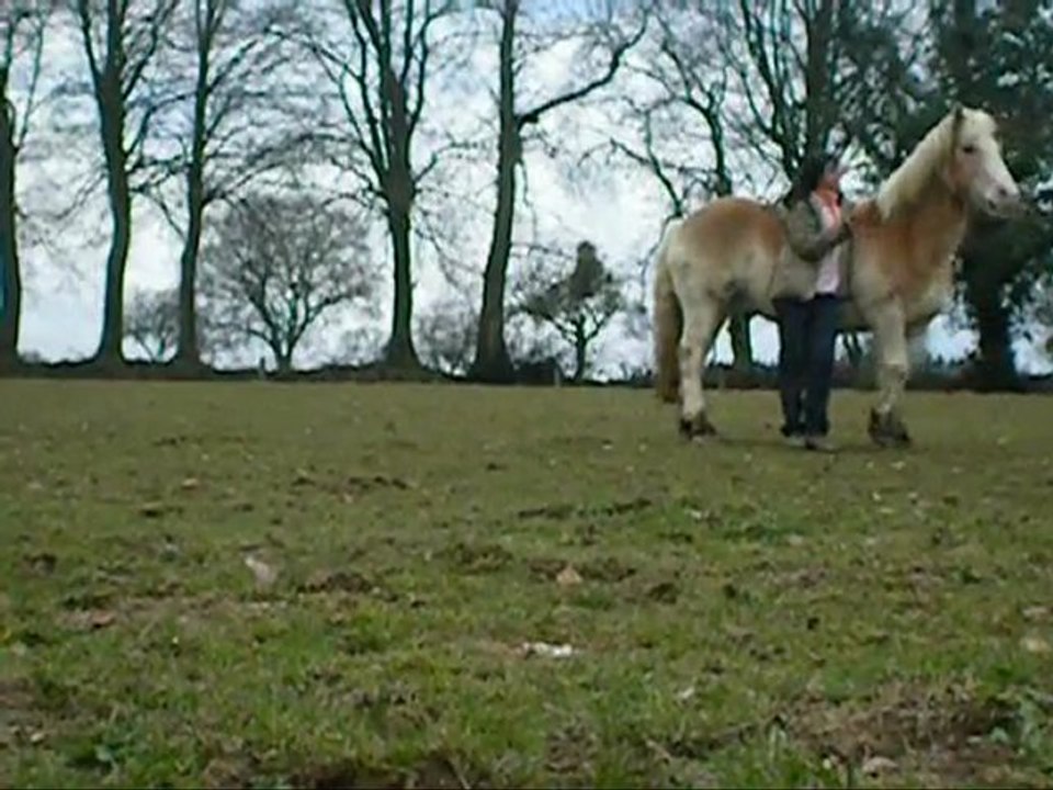samedi 13 mars 2010 séance en totale liberté