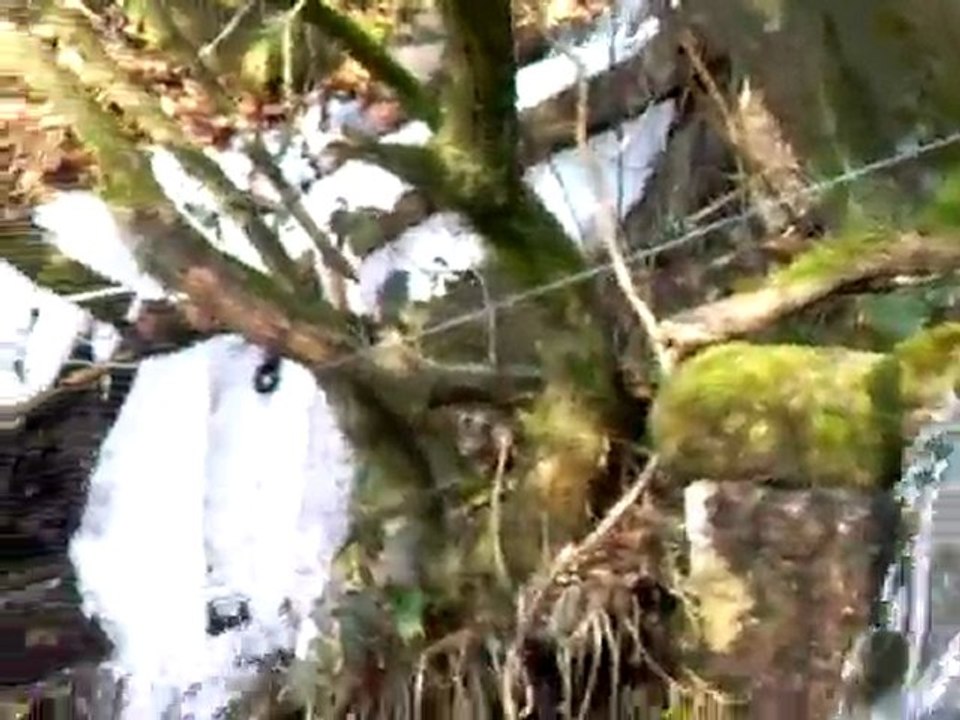 cascade ruisseau Agnot Concidat VTT  puys  grands monts_7013