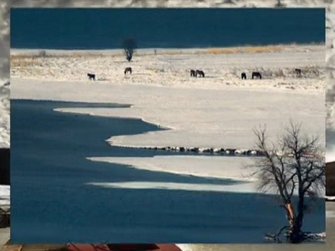 Един ден от живота ти - One day in your life