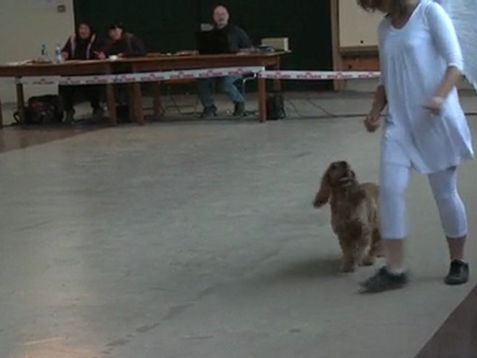 toupy girlenhirsch 2e passage