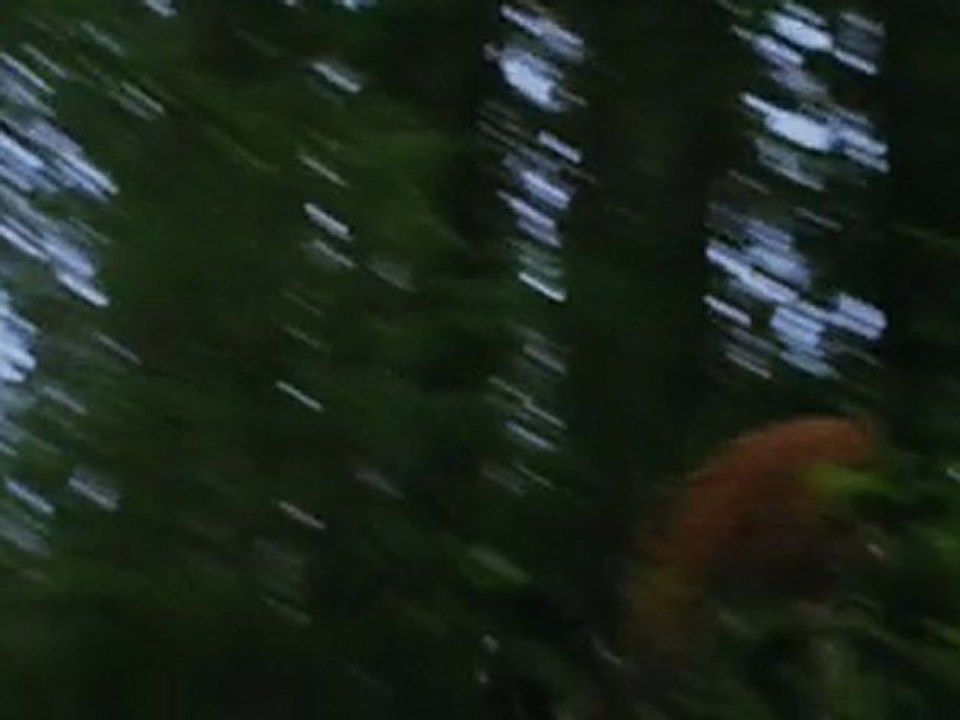 The Twilight Saga Eclipse (Trailer) [720p]