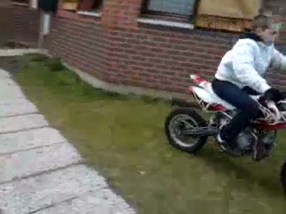 Fefer 2