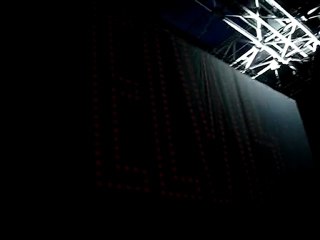 ELVIS CONCERT 2010