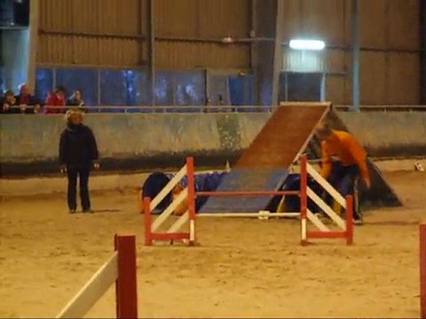 Concours Agility Johanny & Vodka 8 Novembre2009 à Niort