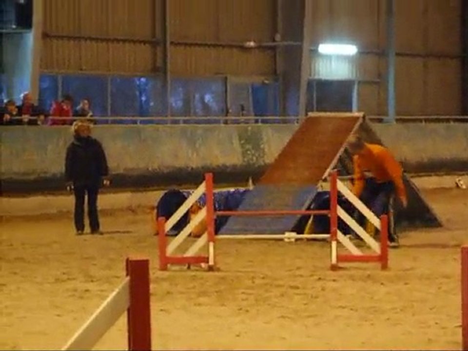 Concours Agility Johanny & Vodka 8 Novembre2009 à Niort