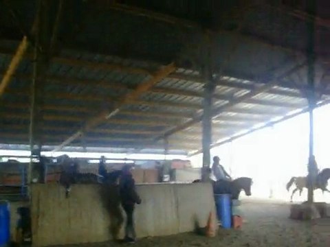 Jolie & Moi au galop, en épaule en dedans .