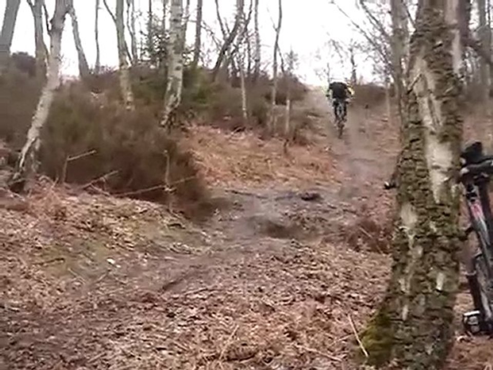 Forêt de Montmorency