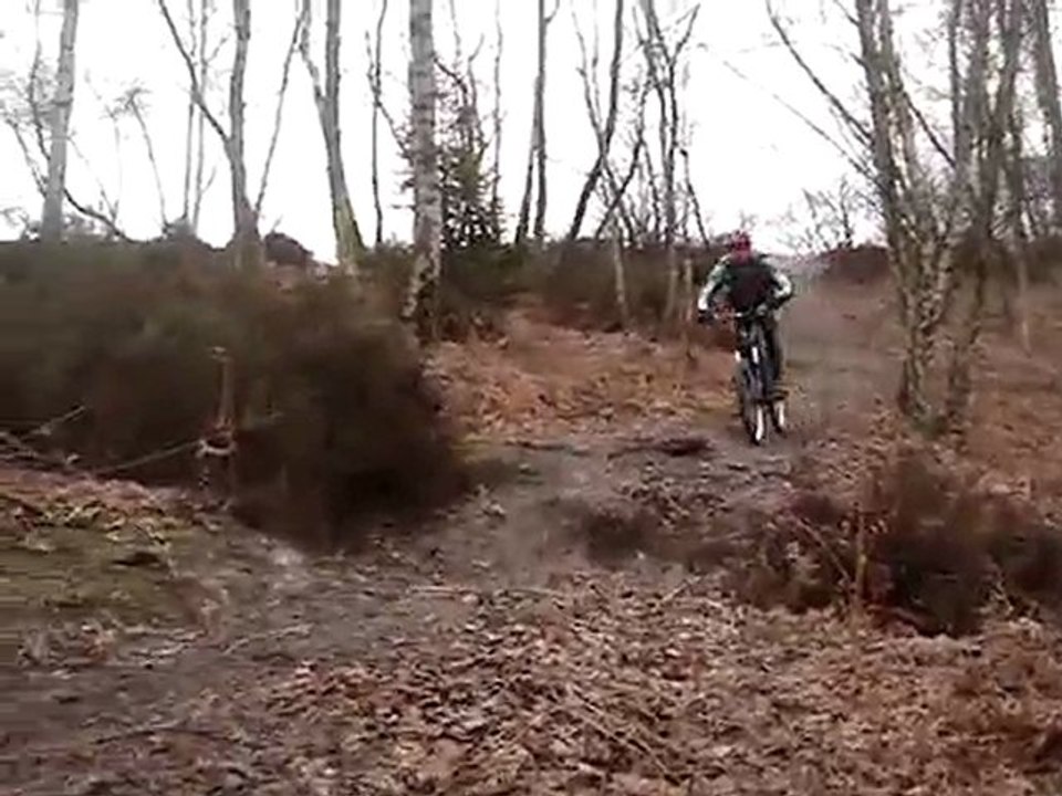 forêt de montmorency saut