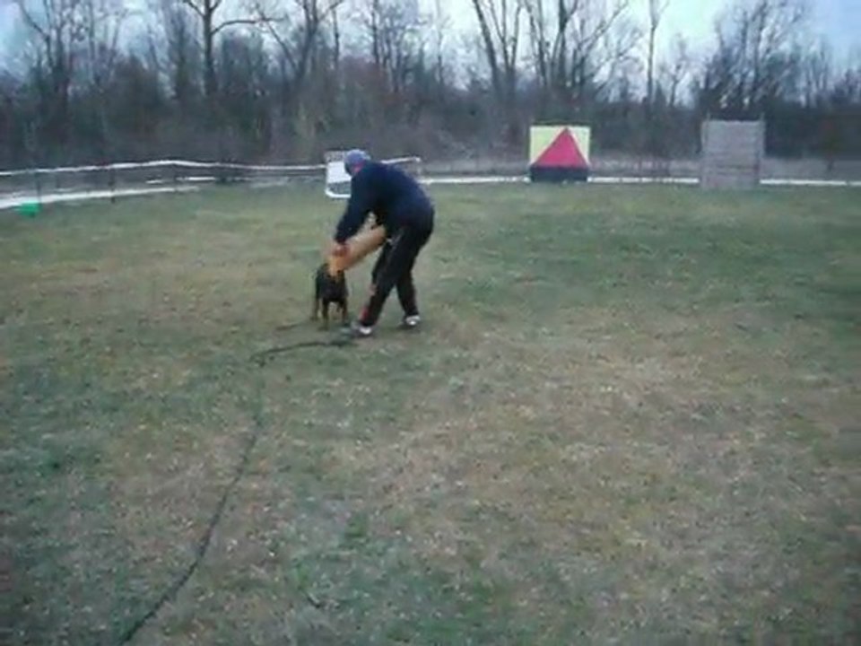giles deprez