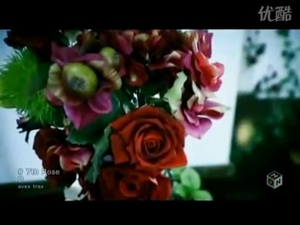 D - 7th rose pv
