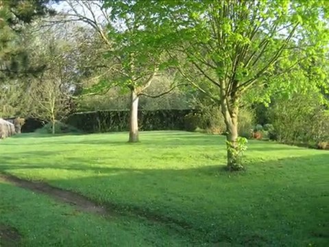 Diaporama de l'année 2009 - 8ème partie