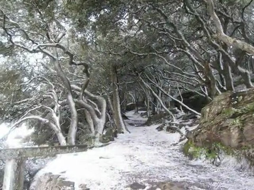 Frosty day in Noirmoutier