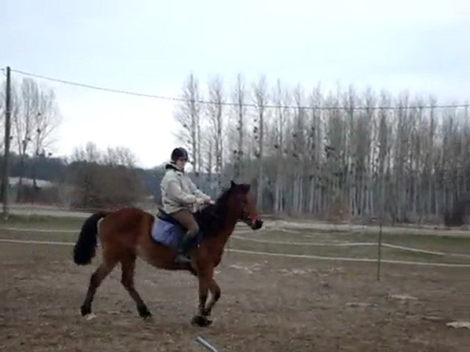 Départ au galop du pas