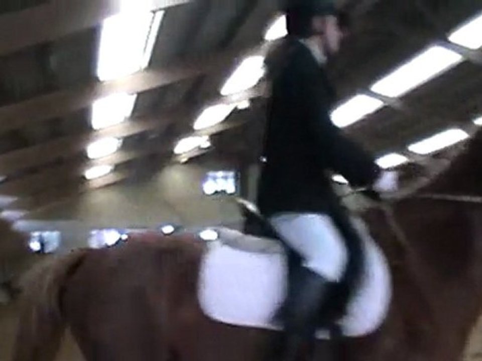 etrier d'or dressage