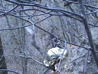 AIRSOFT AVEC LA LIGA93 LE 14:03:2010