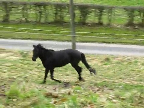 Ulys prairie 14mars 2