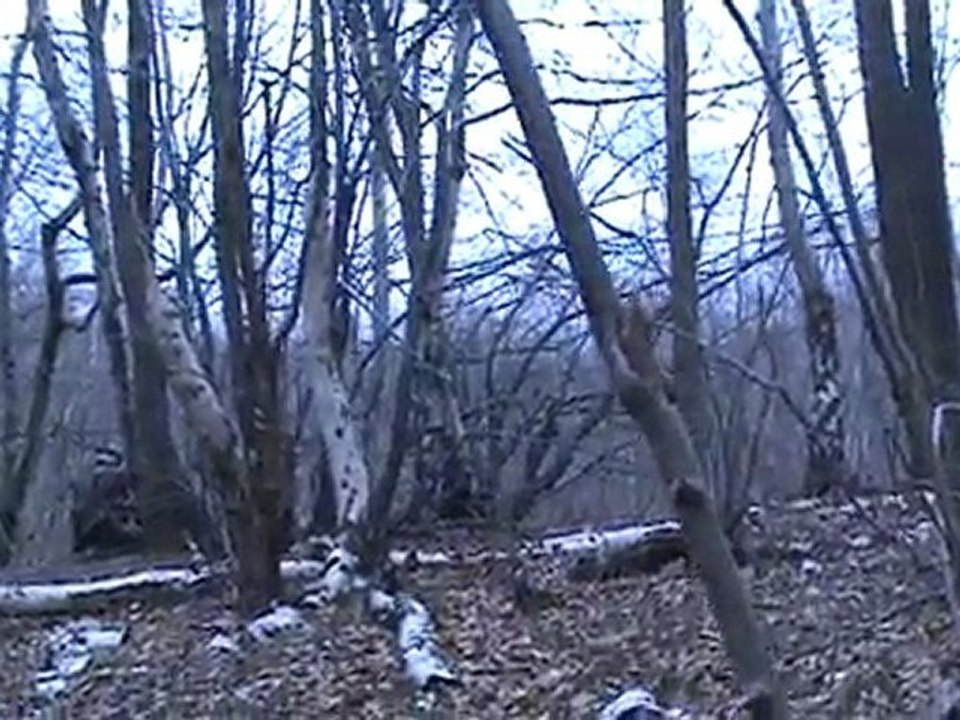 AIRSOFT AVEC LA LIGA93 LE 14:03:2010